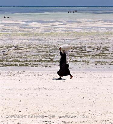 Beach walk, Zanzibar, DSC07168b